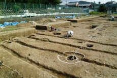 ��P���Ղ̑m�����q�ɂƎv����@����������