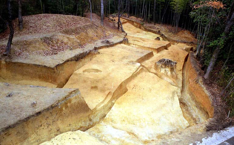 �����n�S�i