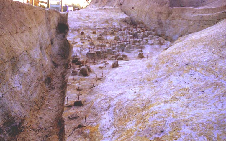 �V�w�@�╨�o�y��1