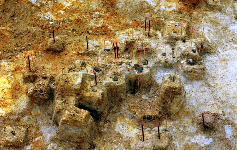 �V�w�@�╨�o�y��2