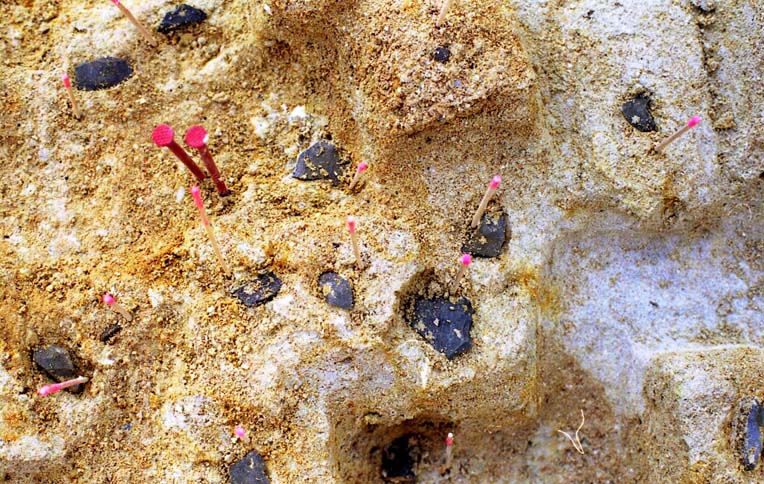 �V�w�@�╨�o�y��4