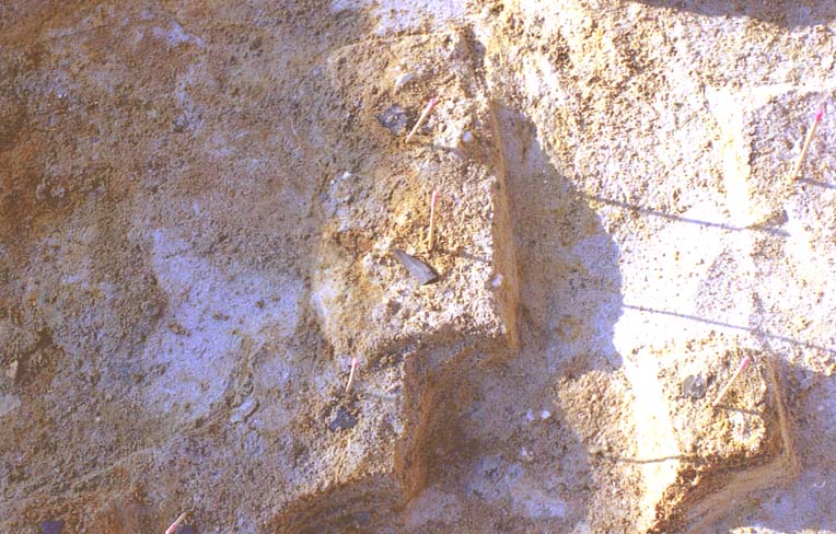 �i�C�t�^�Ί�o�y��1